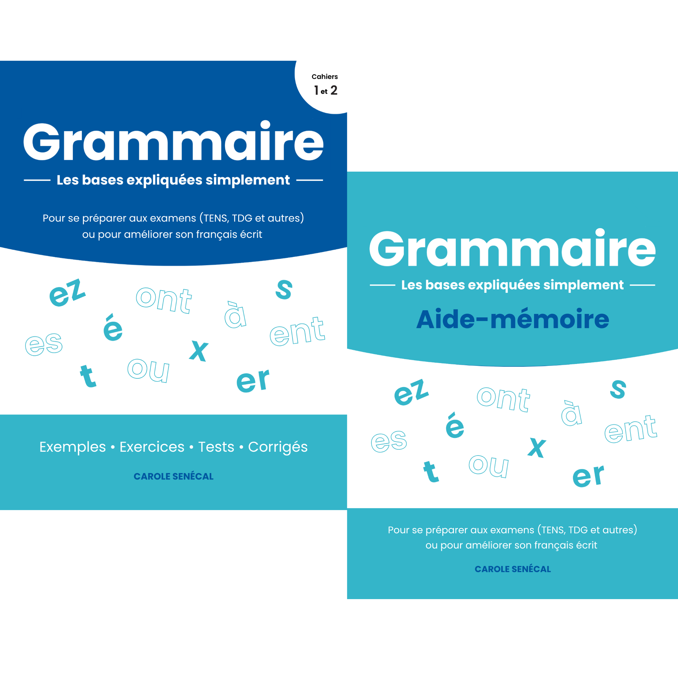 Préparation aux TENS – Grammaire : Cahiers format papier et cours privé